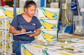 Chiquita woman checking banana boxes