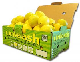 USA CITRUS LimoneiraUnleash Half Carton Pics_2