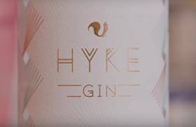 Tesco HYKE gin