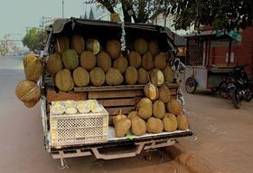 Copyright Russavia DURIAN_FRUIT_DELIVERY_MANDALAY_MYANMA_FEB_2013_(8511907199)