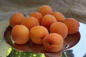 ZA_Apricots