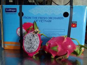 Way Cool L'exotique premium dragonfruit