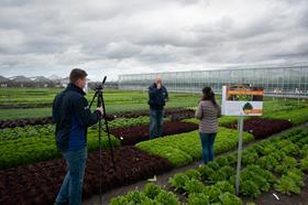 BASF-Digital meeting live from the field