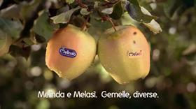Melinda Melasi advertisement television