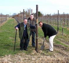 L to r: Mansfields founder Buddy Mansfield, farm manager Craig Rook and md Paul Mansfield plant the 100,000 tree of 150,000 tree planting programme 2010-11