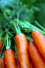 What’s so special about carrots?