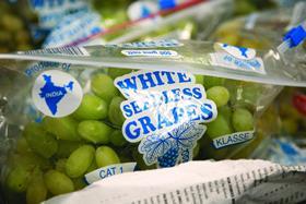 India Indian grapes seedless white