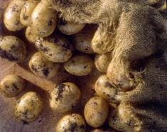 Irish farms 'threatened' by UK potato imports