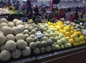 UAE melons
