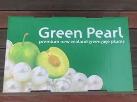NZ Green pearl greengage plum