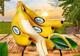 SanLucar bananas