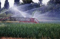 Growers invited to free irrigation event