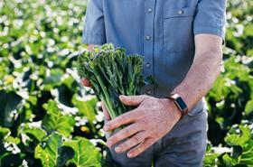 UK Tenderstem broccoli