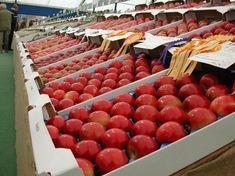 The National Fruit Show is one of the UK industry's key events