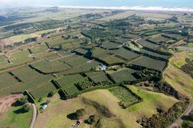 New Zealand Aerial view fields landscape