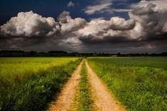 Avoid climatic consequences