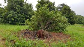 Cyclone Idai damage Zimbabwe
