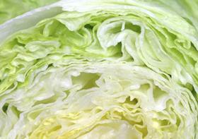 Iceberg lettuce