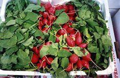 A new radish website has been launched