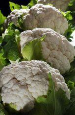 Cruciferous veg link to lung cancer prevention