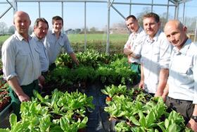 Grounds team 1