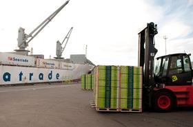 NZ New Zealand Zespri kiwifruit loading reefer ship port Tauranga