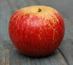 Apple Day set for October