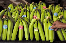 Bananas - Make Bananas Fair