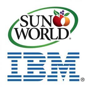 Sun World IBM logos