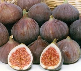 figs