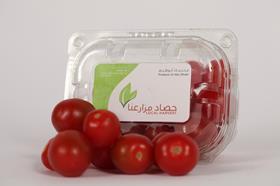 Abu Dhabi tomatoes