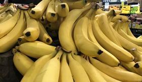 Bananas - No credit required