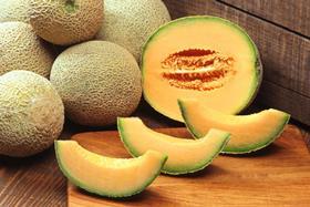 rockmelon cantaloupe free use