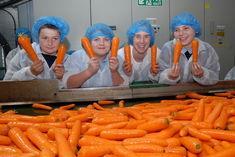 Freshgro takes kids on carrot adventure