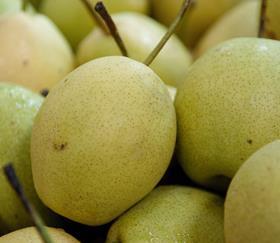 Chinese fragrant pear