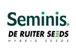Seminis De Ruiter Seeds