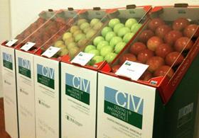 CIV new varieties Interpoma 2010