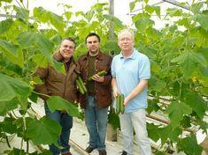 Abbey View Produce eyes early English cues