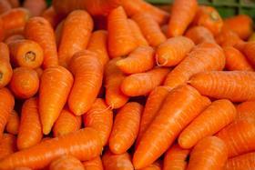 GEN carrot