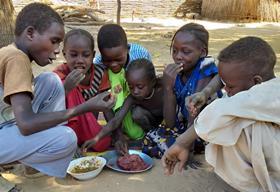 UN WFP Storytellers