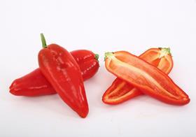 IL Breedx seedless peppers