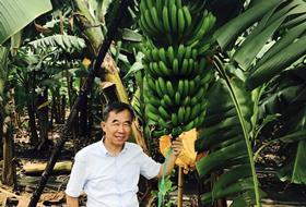 Dr Chao with a mother plant of the new Formosana variety copy