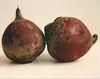 Beetroot could reduce blood pressure