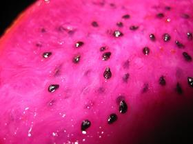 Dragon Fruit pink