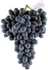 SA black grapes in export boom