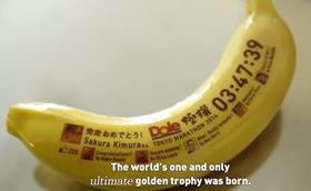 Dole banana trophy