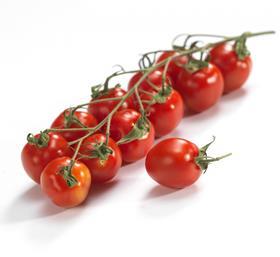 Marzanino tomato