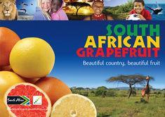 SA grapefruit campaign returns
