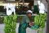Ecuador: problems for the banana industry