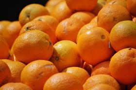 oranges-407429_1920